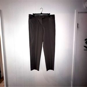 NWT Lane Bryant Trouser